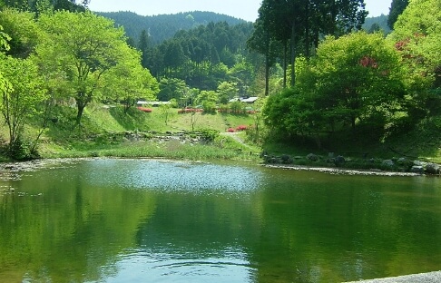 釣り堀