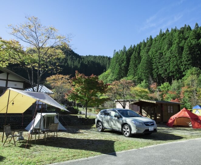 フィールド紹介 料金 つぐ高原グリーンパーク Gp Camp